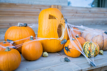 Halloween Kürbisse und Dekoration