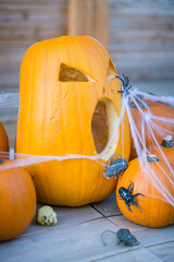 Halloween Kürbisse und Dekoration