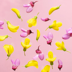 Bright yellow and pink flowers flying on a pink background.
