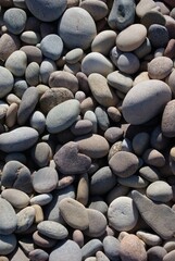 Stones on the shore.