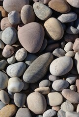 Stones on the shore.