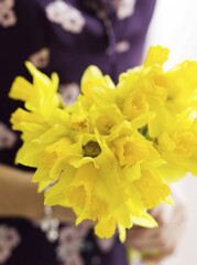 Daffodils in hand