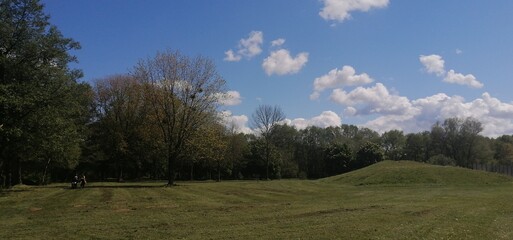 landscape with trees and sky