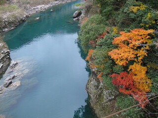 Autumn River.