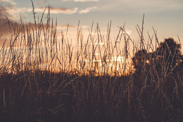 Fototapeta premium Sonnenaufgang