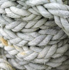 Close-up of ropes