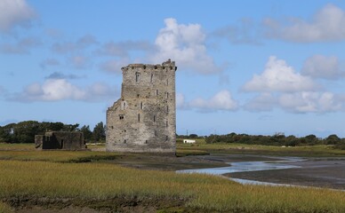 Carrigafoyle Castle is set in the attractive reed beds beside Carrig Island on the southern edge of the Shannon Estuary in County Kerry, Ireland.