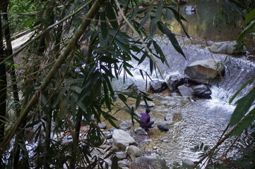 waterfall in the forest