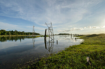 landscape of green field and the lake