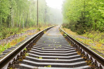 Obraz premium Railroad tracks through the forest in spring. Frog weather. 