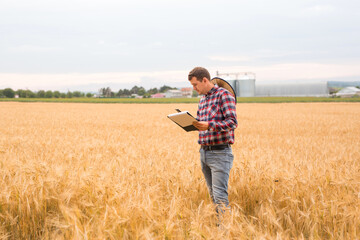Naklejka na ściany i meble Farmer writing on a document the wheat development plan. Farmer checking wheat field progress. 