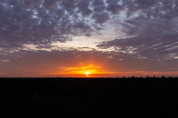 Natural sunset over the forest.  Bright dramatic sky and dark earth. Countryside landscape under a picturesque colorful sky at sunset.