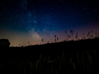 Sternenhimmel im Feld
