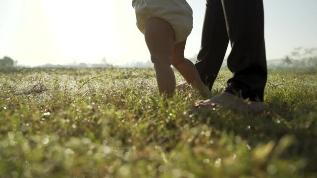 baby first step outdoor walking. mother help her baby to walk her first step in the field during sunset