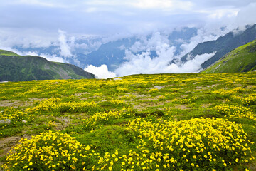 Beautiful scenic view of rohtang pass, the himalayan valley, Himachal Pradesh, India.