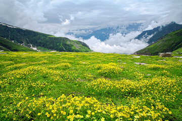 Fototapeta na wymiar Beautiful scenic view of rohtang pass, the himalayan valley, Himachal Pradesh, India.