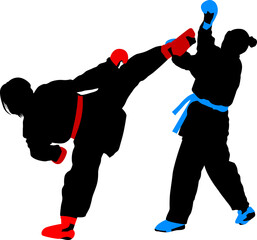 two girls fight in karate silhouette color © goran