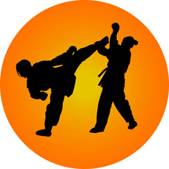 two girls fight in karate silhouette © goran