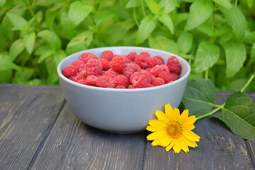 Ripe raspberries in a plate against a dark wooden background