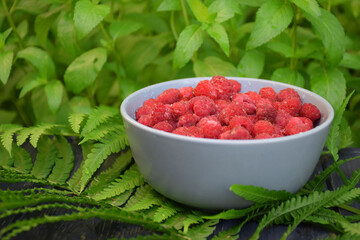 Ripe raspberries in a plate on a green background