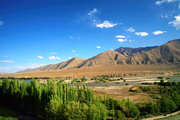 Beautiful Landscape, The Meadows and farmlands at Ladakh , india
