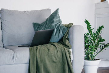 A grey sofa in a bright Scandinavian-style room with green pillows and a green blanket, a pot of flowers. My laptop is on the couch