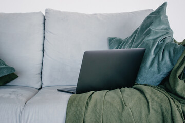 A grey sofa in a bright Scandinavian-style room with green pillows and a green blanket, a pot of flowers. My laptop is on the couch