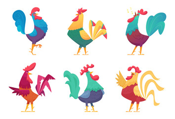 Rooster cartoon. Chicken farm male birds with colored feathers vector characters in different poses. Chicken and rooster farm, cartoon animal and hen mascot illustration - obrazy, fototapety, plakaty