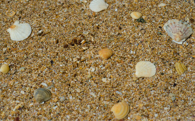 pebbles on the beach