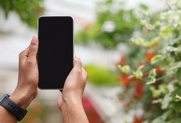Photo for business. Hands of african american girl with smartwatch holding smartphone with blank screen