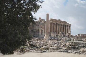 ruins of ancient roman forum