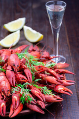 Crayfishes on plate served with dill, lemon and glass of schnapps, dark wooden background, vertical