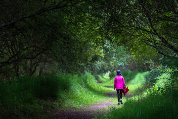 Obraz premium mujer paseando por un bosque verde en forma de túnel 