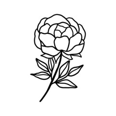 Hand drawn rose, peony flower and botanical leaf branch illustration. Black line art vector feminine logo. Symbol and icon for wedding, business card, cosmetics, jewel, brand, and beauty products
