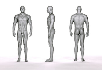 3D Rendering : Portrait of standing male mesomorph (muscular) body type 