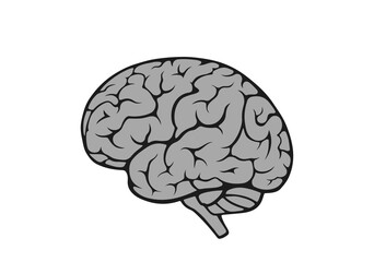 brain, side view. mind symbol. psychology and medical sign