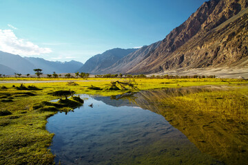 Beautiful landscape of nubra valley in Leh, Ladakh. India.