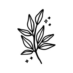 Hand drawn monochrome plant, leaf logo element. Symbol, greeting cards, botanical icon, or banner. Summer, spring, and autumn botany element
