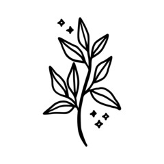 Hand drawn leaf branch for feminine beauty logo elements and nature icon