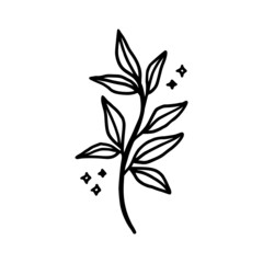 Hand drawn leaf branch for feminine beauty logo elements and nature icon