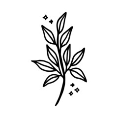 Hand drawn monochrome plant, leaf logo element. Symbol, greeting cards, botanical icon, or banner. Summer, spring, and autumn botany element