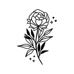 Hand drawn peony flower element. Floral line art for feminine beauty logo, icon, business card, wedding invitation, or decoration