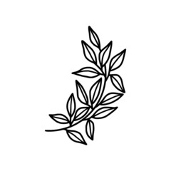 tiny simple botanical leaf illustration, line art, minimal design element. elegant and delicate monochrome plant for branding, wedding invitation, floral clip art, feminine beauty logo or icon