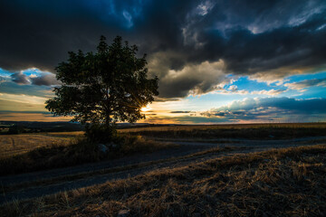 Obraz premium Sunset