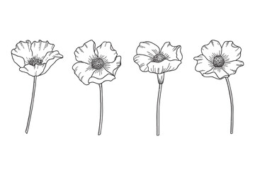 Set of hand drawn wildflowers. Flower heads, stems and hatching saved as separate forms in vector