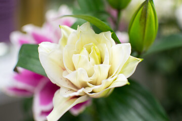Beautiful bouquet of bright and colorful flowers, floral arrangement