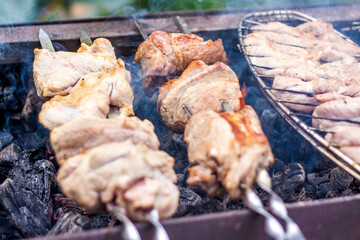 Cooking a barbecue on the fire. Traditional Caucasian kebab on a skewer, cooking meat on skewers. Shish kebab roasting on the grill.