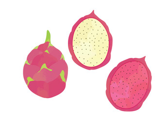 ドラゴンフルーツのイラスト