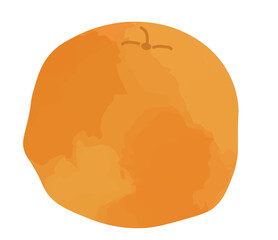 ポンカンのイラスト