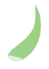 アロエのイラスト